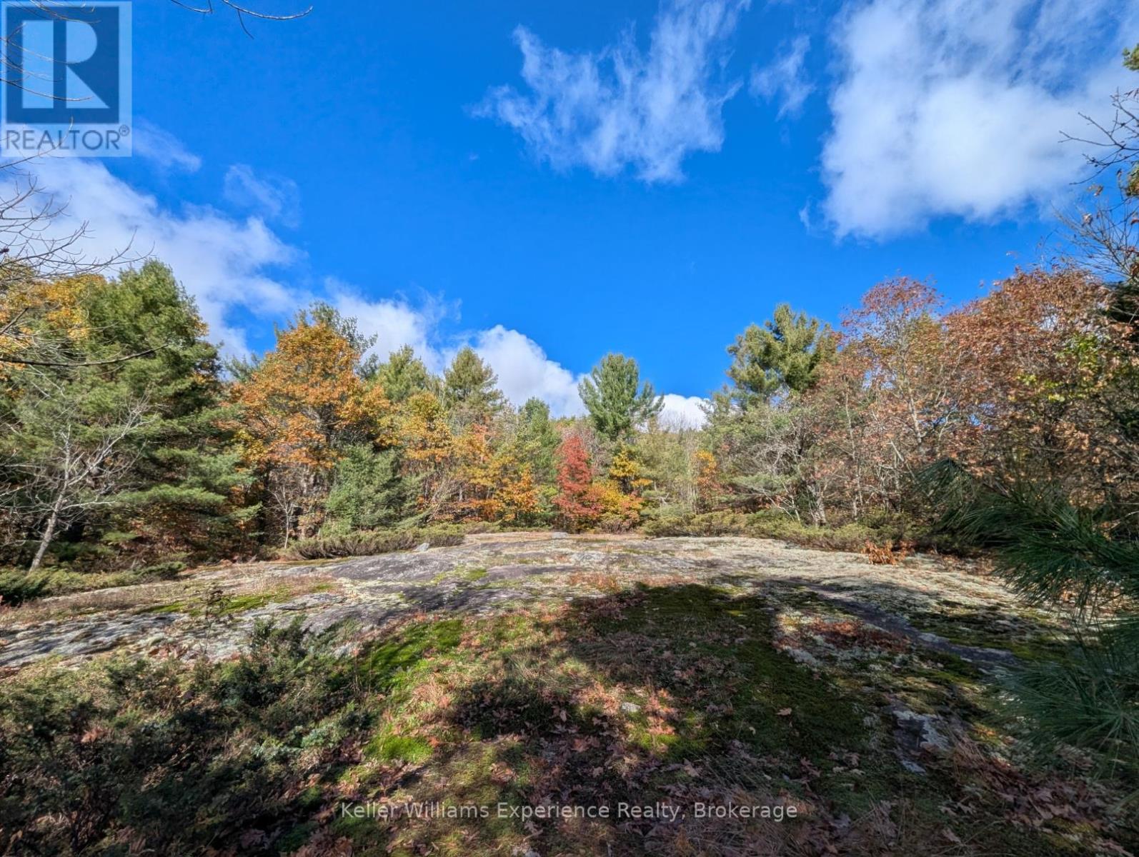 Pl20 Langford Road, Lake Of Bays, Ontario  P0B 1A0 - Photo 3 - X13227254