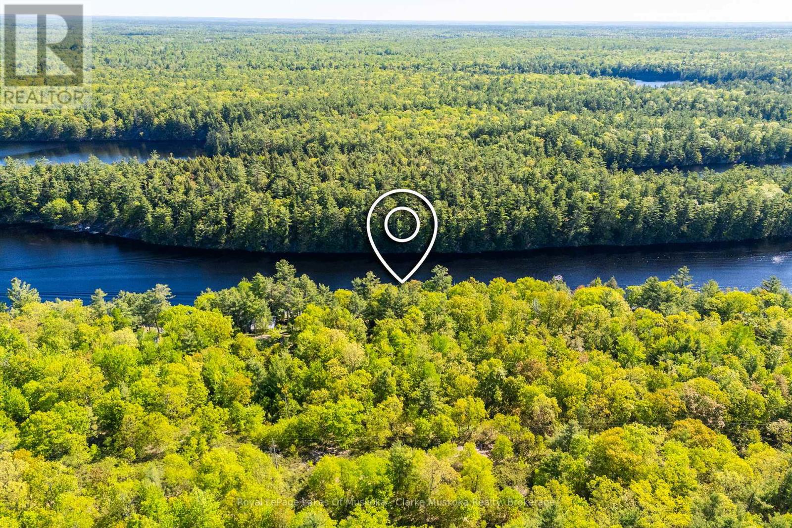 299 Nine Mile Lake, Muskoka Lakes, Ontario  P0C 1M0 - Photo 5 - X13232390