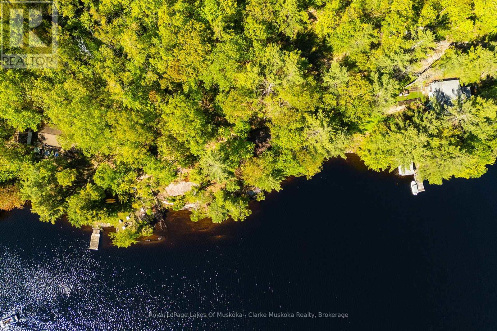 299 Nine Mile Lake, Muskoka Lakes, Ontario  P0C 1M0 - Photo 6 - X13232390