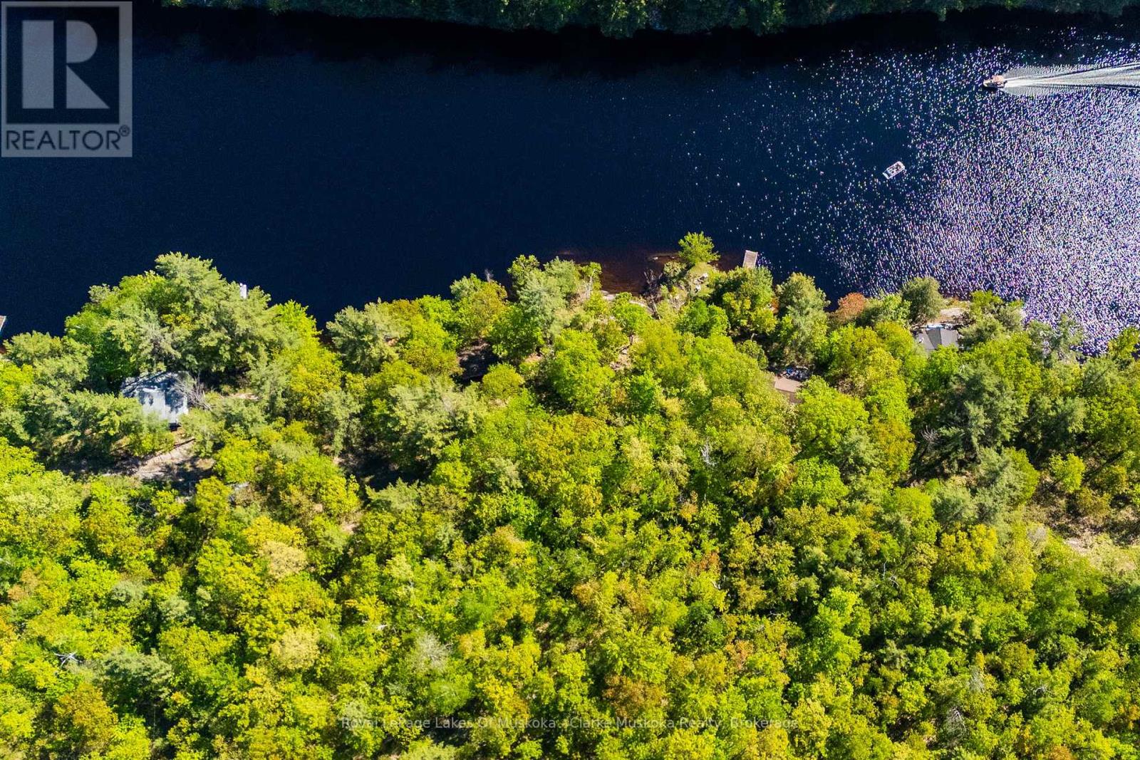 299 Nine Mile Lake, Muskoka Lakes, Ontario  P0C 1M0 - Photo 8 - X13232390