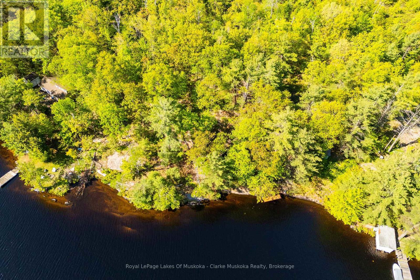 299 Nine Mile Lake, Muskoka Lakes, Ontario  P0C 1M0 - Photo 9 - X13232390