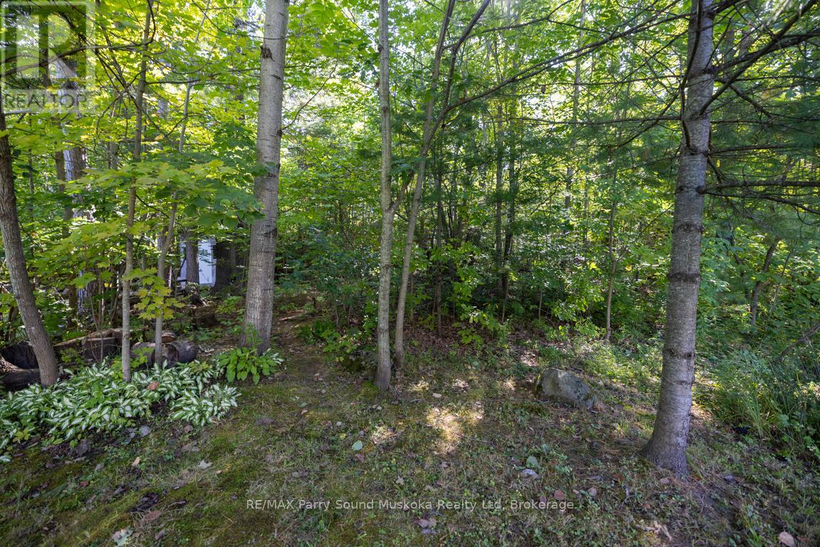 28 Forest Street, Parry Sound, Ontario P2A 2P9 - Photo 45 - X13235546