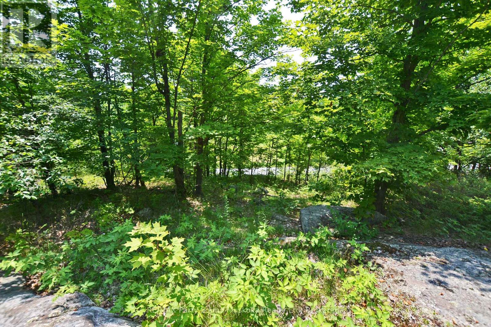 19 Turtle Lane, Parry Sound, Ontario P0G 1C0 - Photo 1 - X13236450