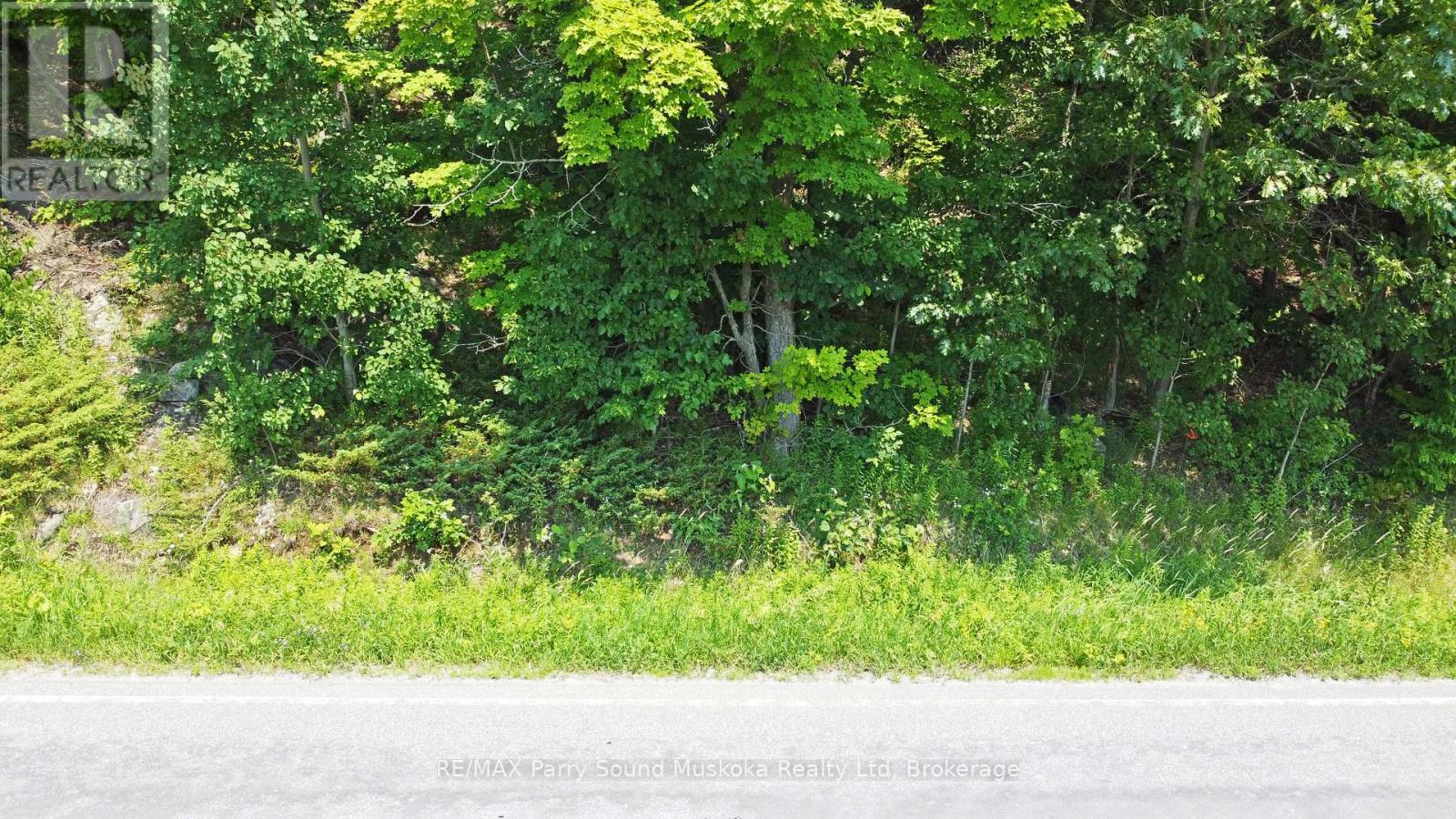 19 Turtle Lane, Parry Sound, Ontario P0G 1C0 - Photo 11 - X13236450