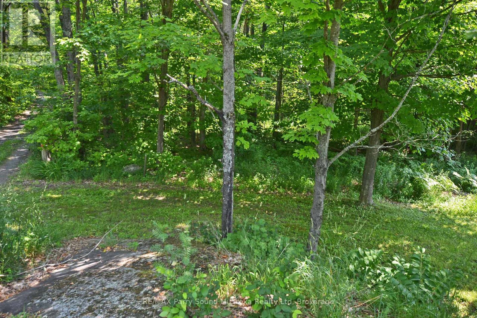19 Turtle Lane, Parry Sound, Ontario P0G 1C0 - Photo 13 - X13236450