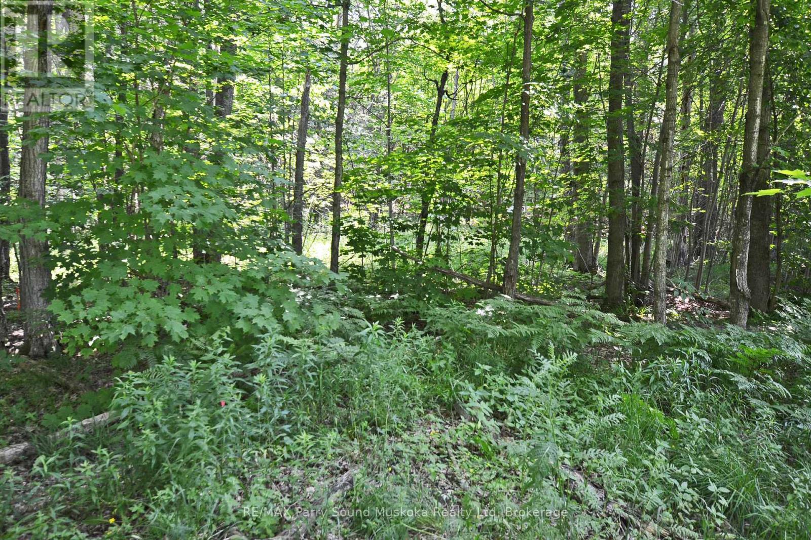 19 Turtle Lane, Parry Sound, Ontario P0G 1C0 - Photo 14 - X13236450