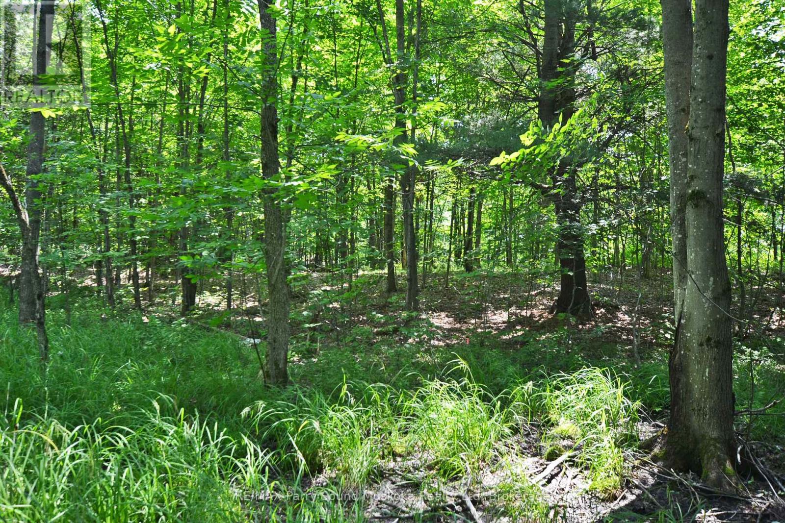 19 Turtle Lane, Parry Sound, Ontario P0G 1C0 - Photo 16 - X13236450