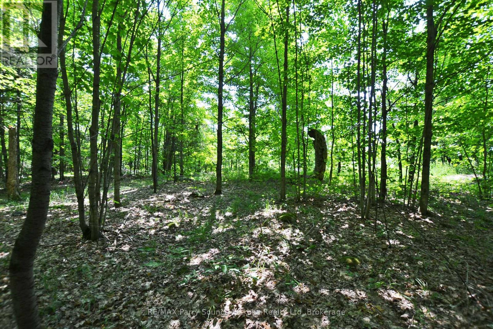 19 Turtle Lane, Parry Sound, Ontario P0G 1C0 - Photo 17 - X13236450