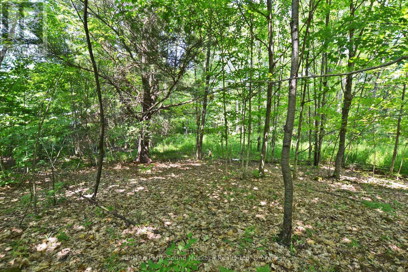 19 Turtle Lane, Parry Sound, Ontario P0G 1C0 - Photo 19 - X13236450