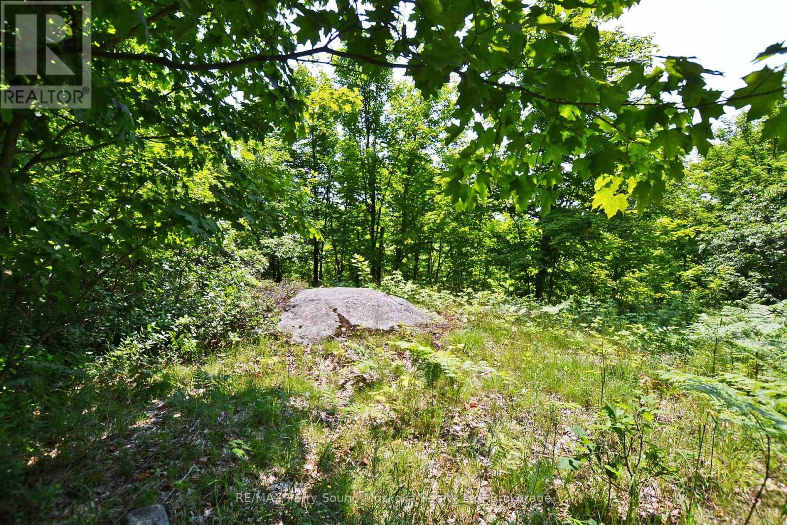19 Turtle Lane, Parry Sound, Ontario P0G 1C0 - Photo 20 - X13236450