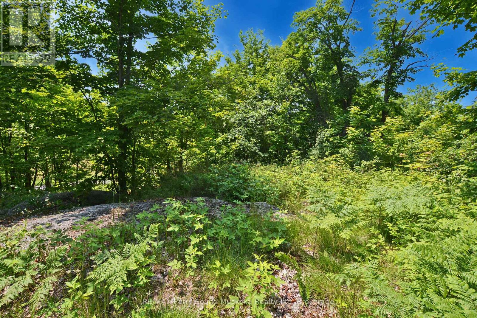19 Turtle Lane, Parry Sound, Ontario P0G 1C0 - Photo 21 - X13236450