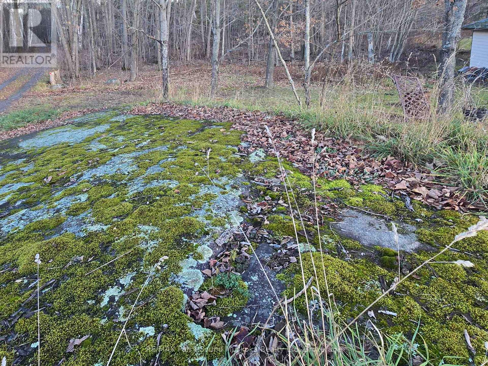19 Turtle Lane, Parry Sound, Ontario P0G 1C0 - Photo 22 - X13236450