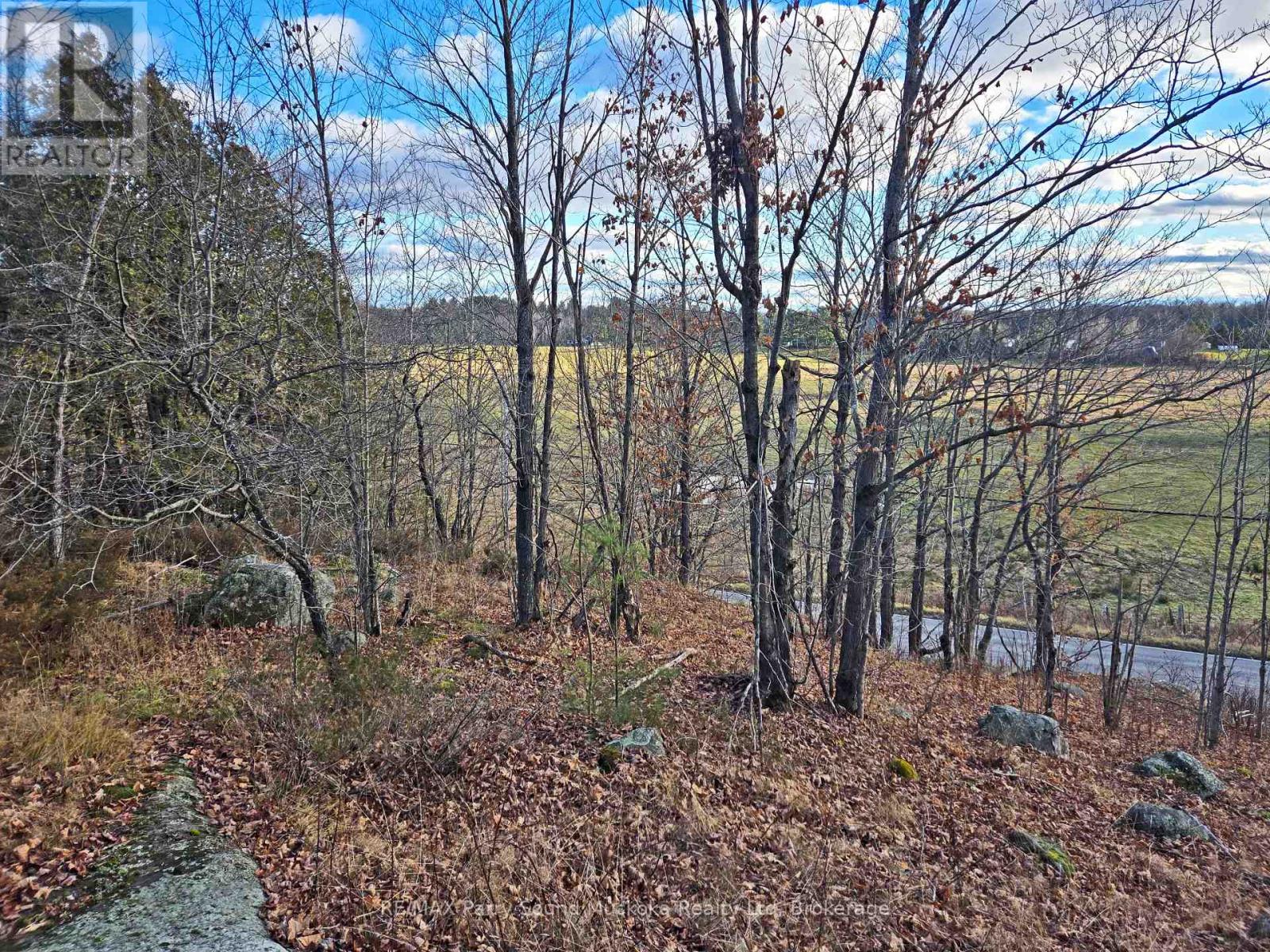 19 Turtle Lane, Parry Sound, Ontario P0G 1C0 - Photo 4 - X13236450