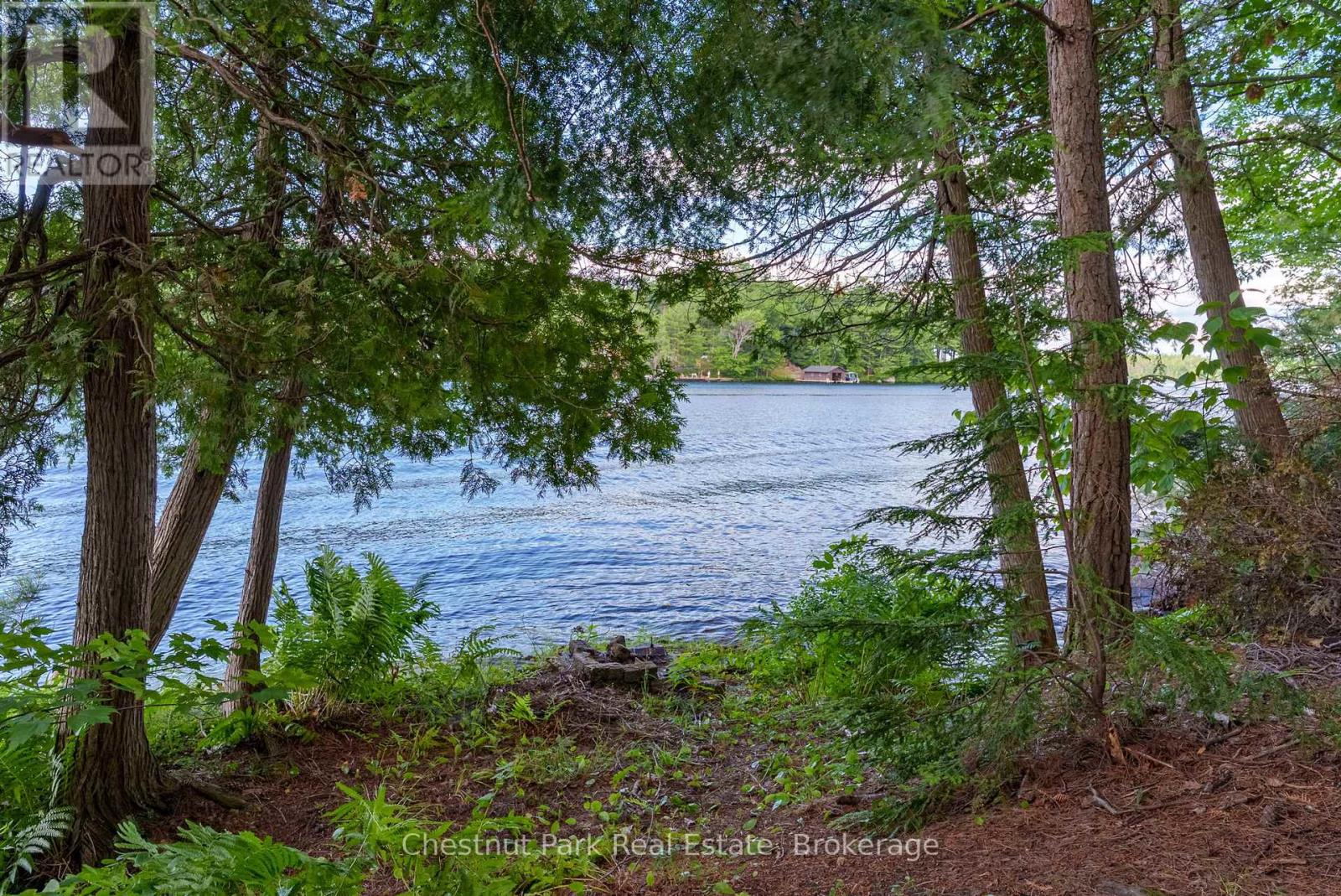 26 Taylor Island 26lm, Gravenhurst, Ontario P1P 1R2 - Photo 24 - X13241428
