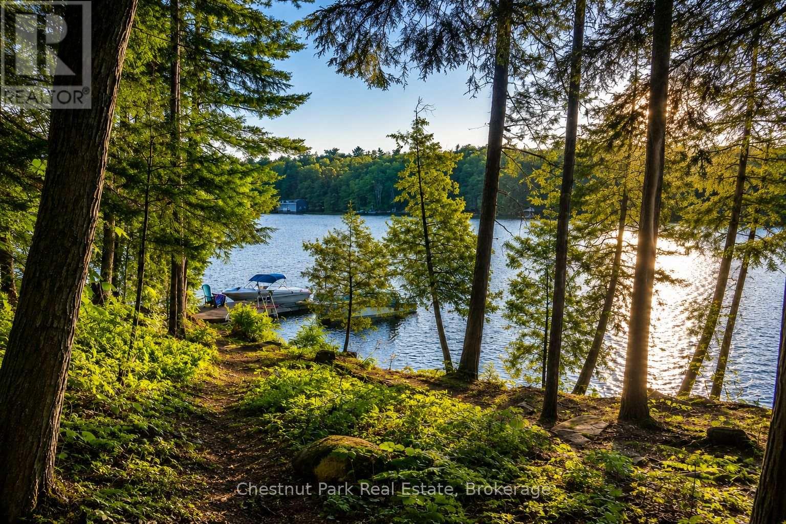 26 Taylor Island 26lm, Gravenhurst, Ontario P1P 1R2 - Photo 26 - X13241428
