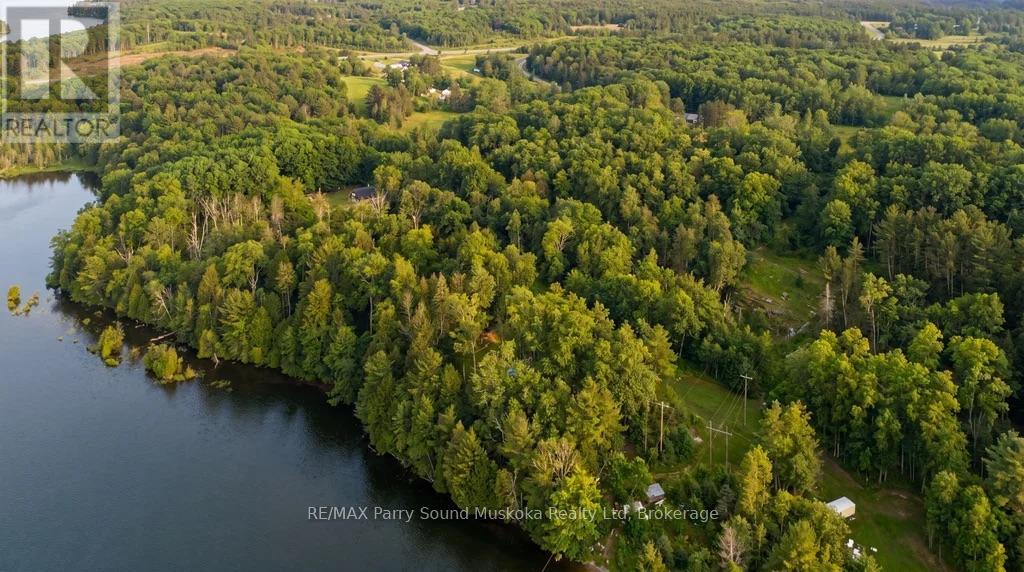 110d Louisa Street, Parry Sound, Ontario P2A 2V3 - Photo 24 - X13242820