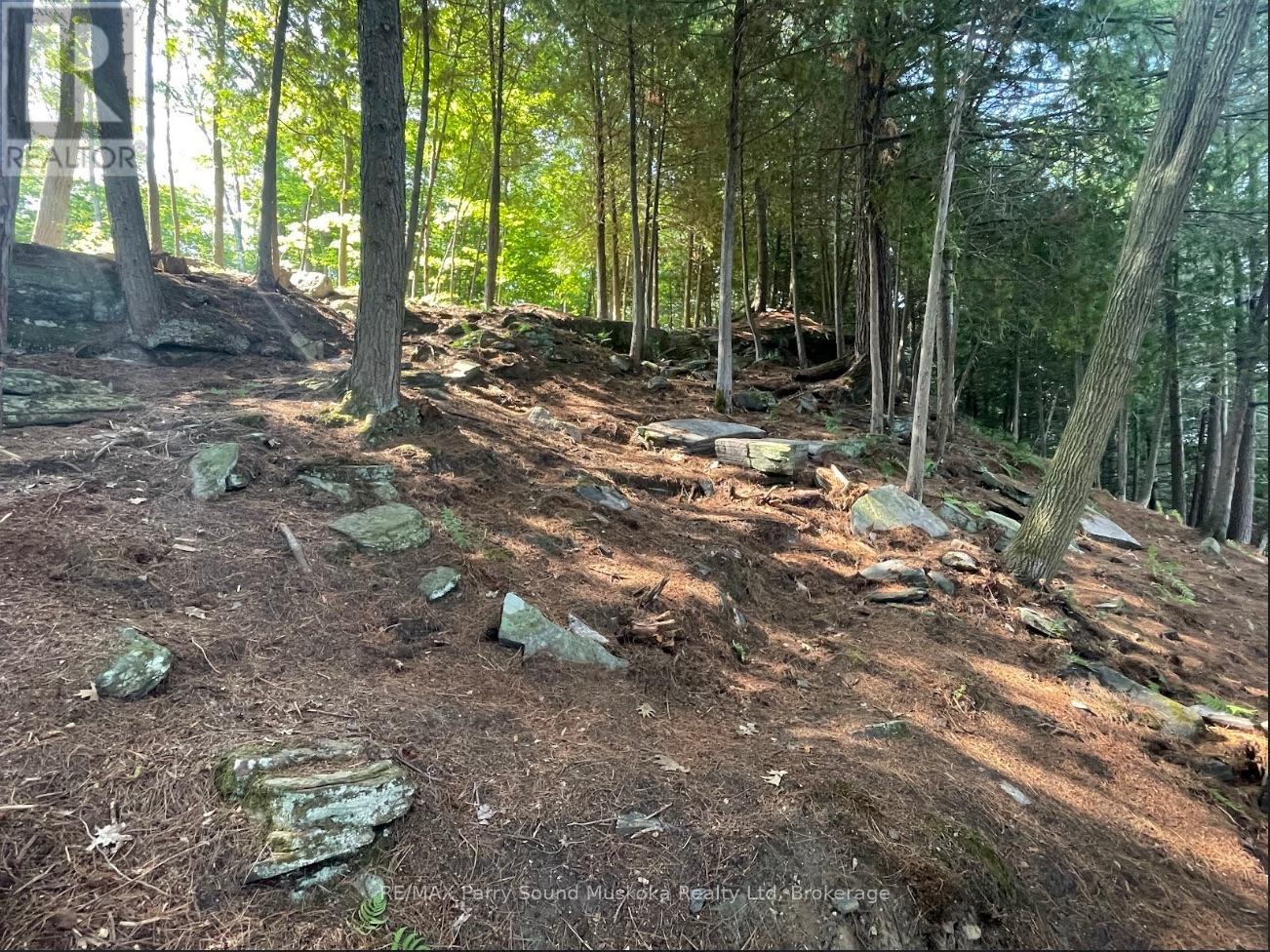 110d Louisa Street, Parry Sound, Ontario P2A 2V3 - Photo 7 - X13242820