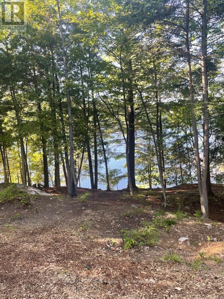 110d Louisa Street, Parry Sound, Ontario P2A 2V3 - Photo 9 - X13242820