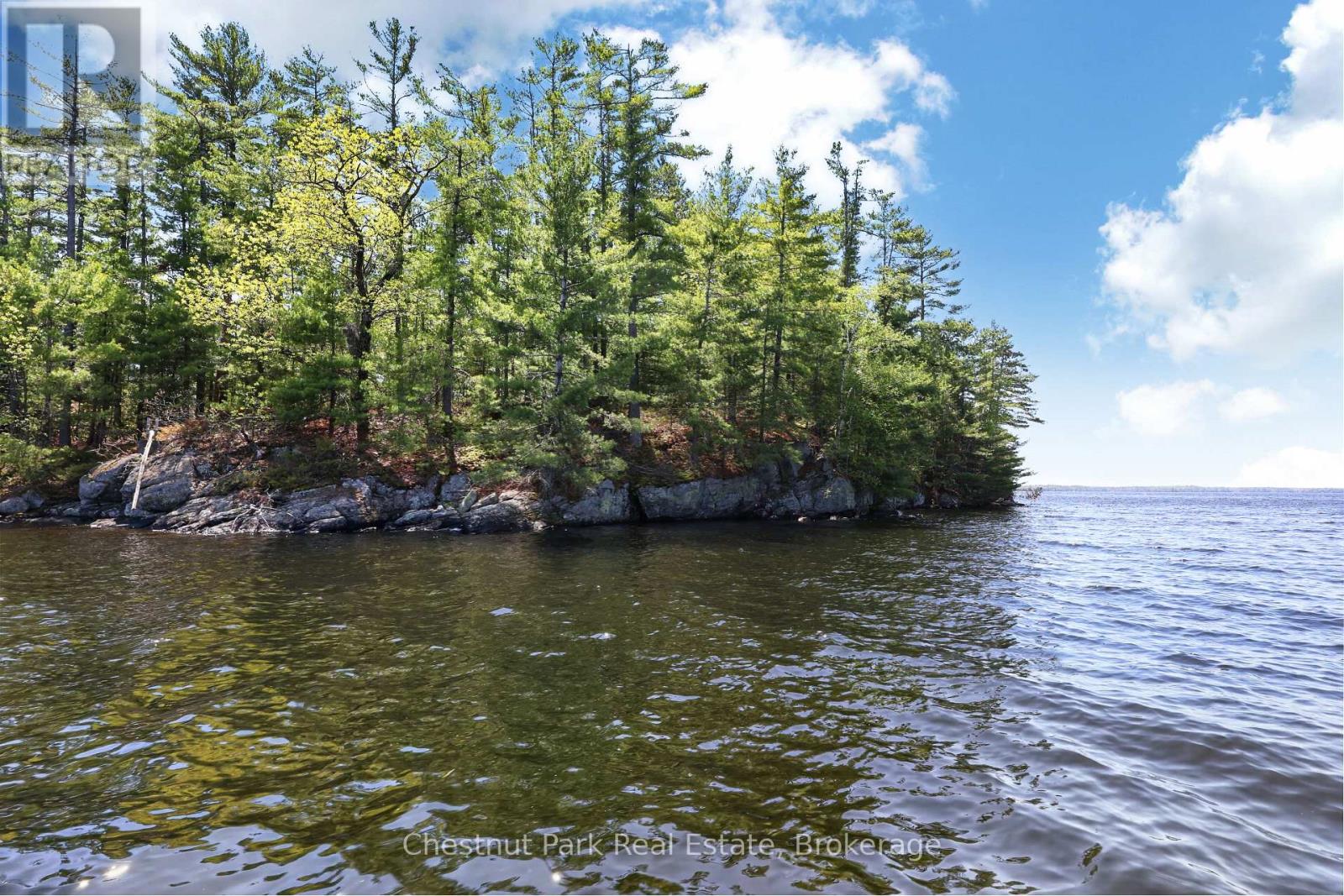 1 Island 20ml Island, Gravenhurst, Ontario  P1P 1R2 - Photo 1 - X13247020