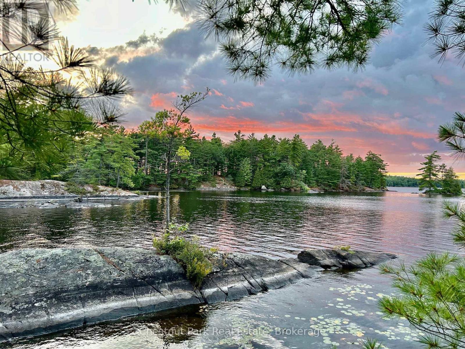 10 Island 21 Kl Boyd Island, Gravenhurst, Ontario P0E 1G0 - Photo 6 - X13275988