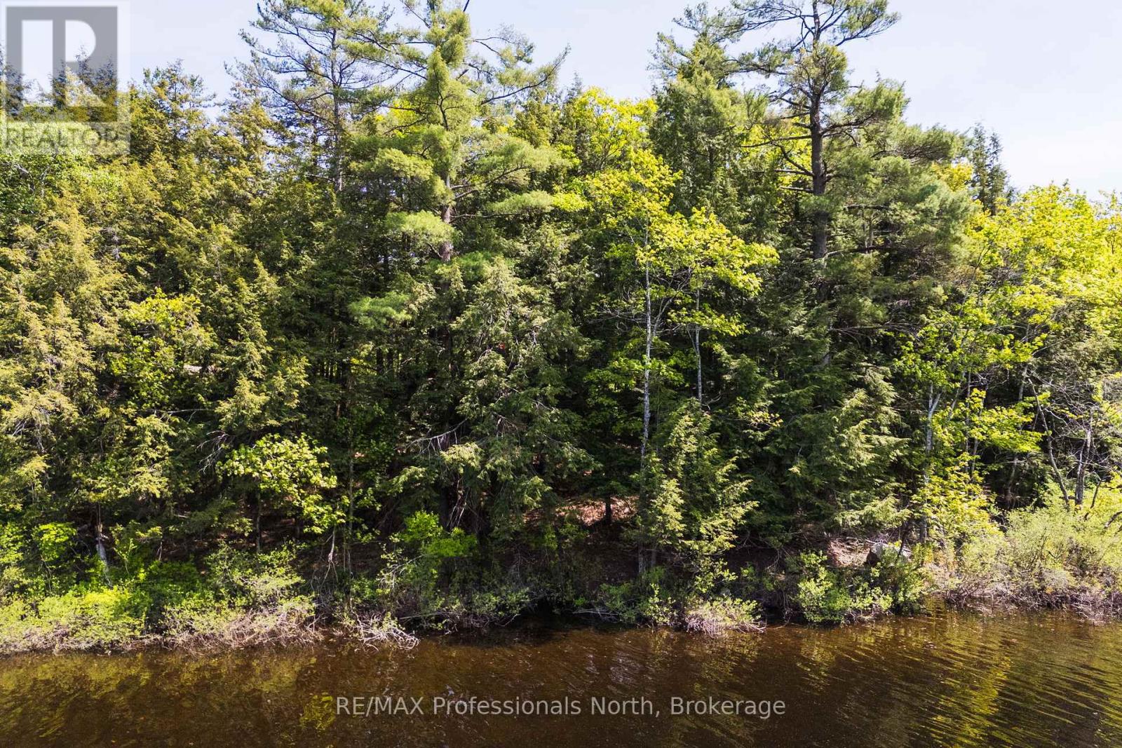 2 - 1204 South Morrison Lake Road, Gravenhurst, Ontario P0E 1G0 - Photo 11 - X13290732