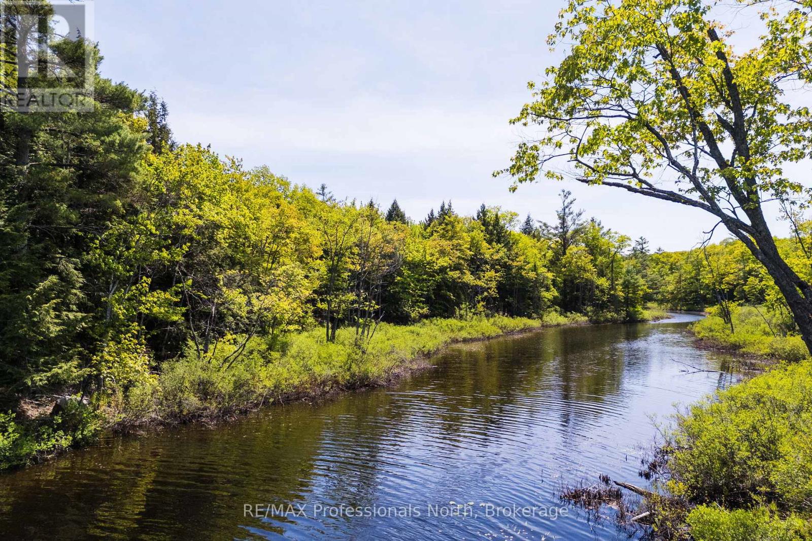 2 - 1204 South Morrison Lake Road, Gravenhurst, Ontario P0E 1G0 - Photo 12 - X13290732