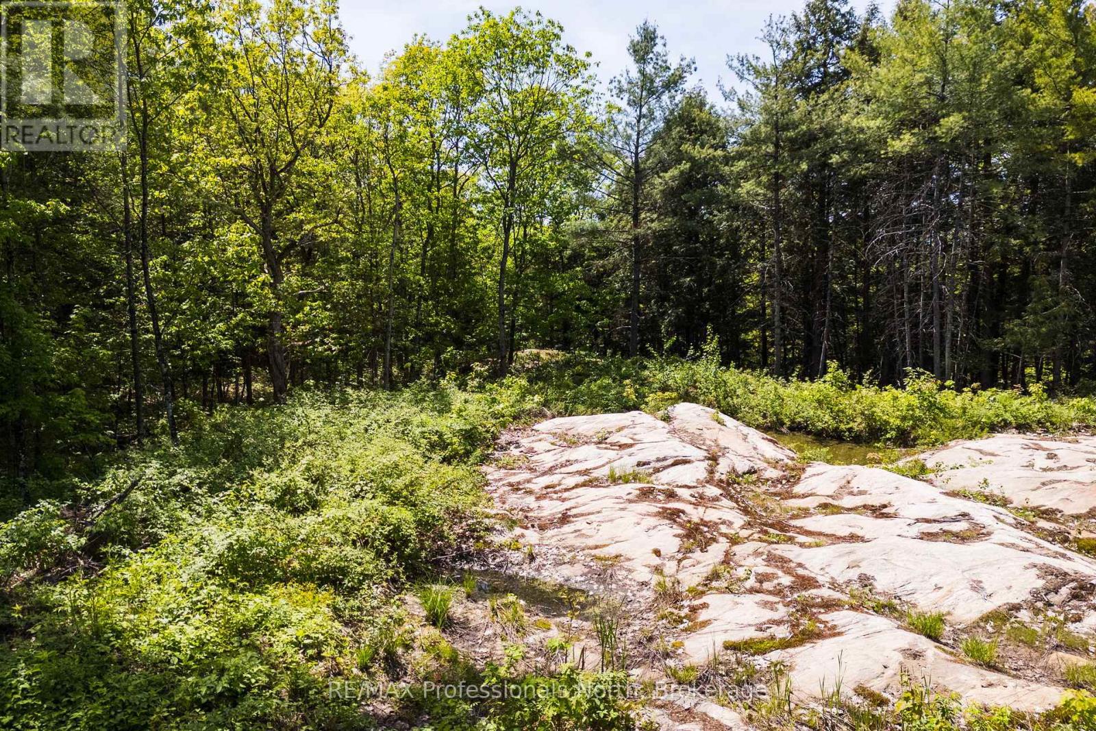 2 - 1204 South Morrison Lake Road, Gravenhurst, Ontario P0E 1G0 - Photo 16 - X13290732