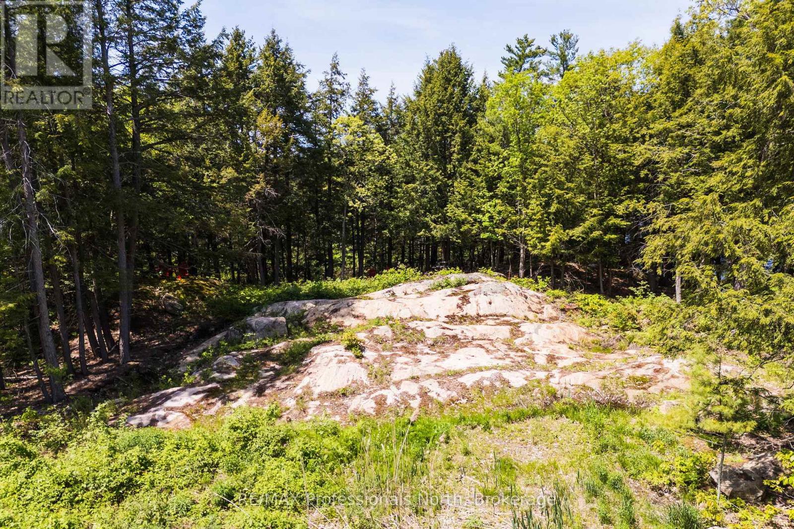 2 - 1204 South Morrison Lake Road, Gravenhurst, Ontario P0E 1G0 - Photo 19 - X13290732