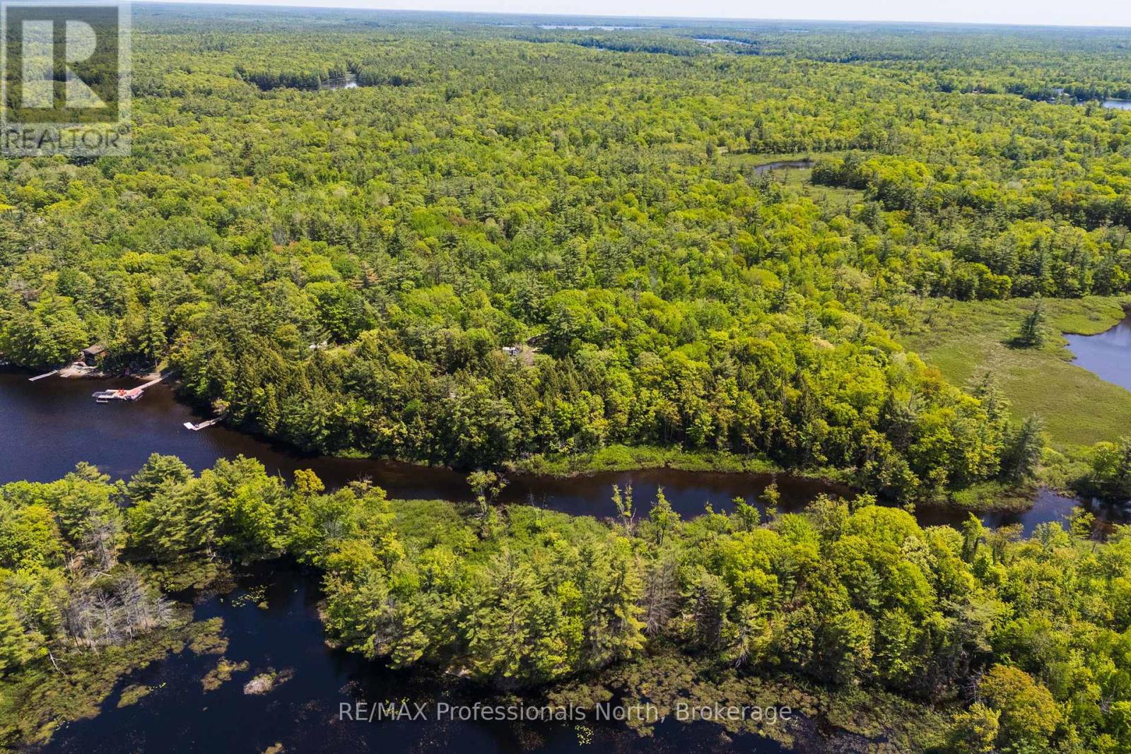 2 - 1204 South Morrison Lake Road, Gravenhurst, Ontario P0E 1G0 - Photo 3 - X13290732