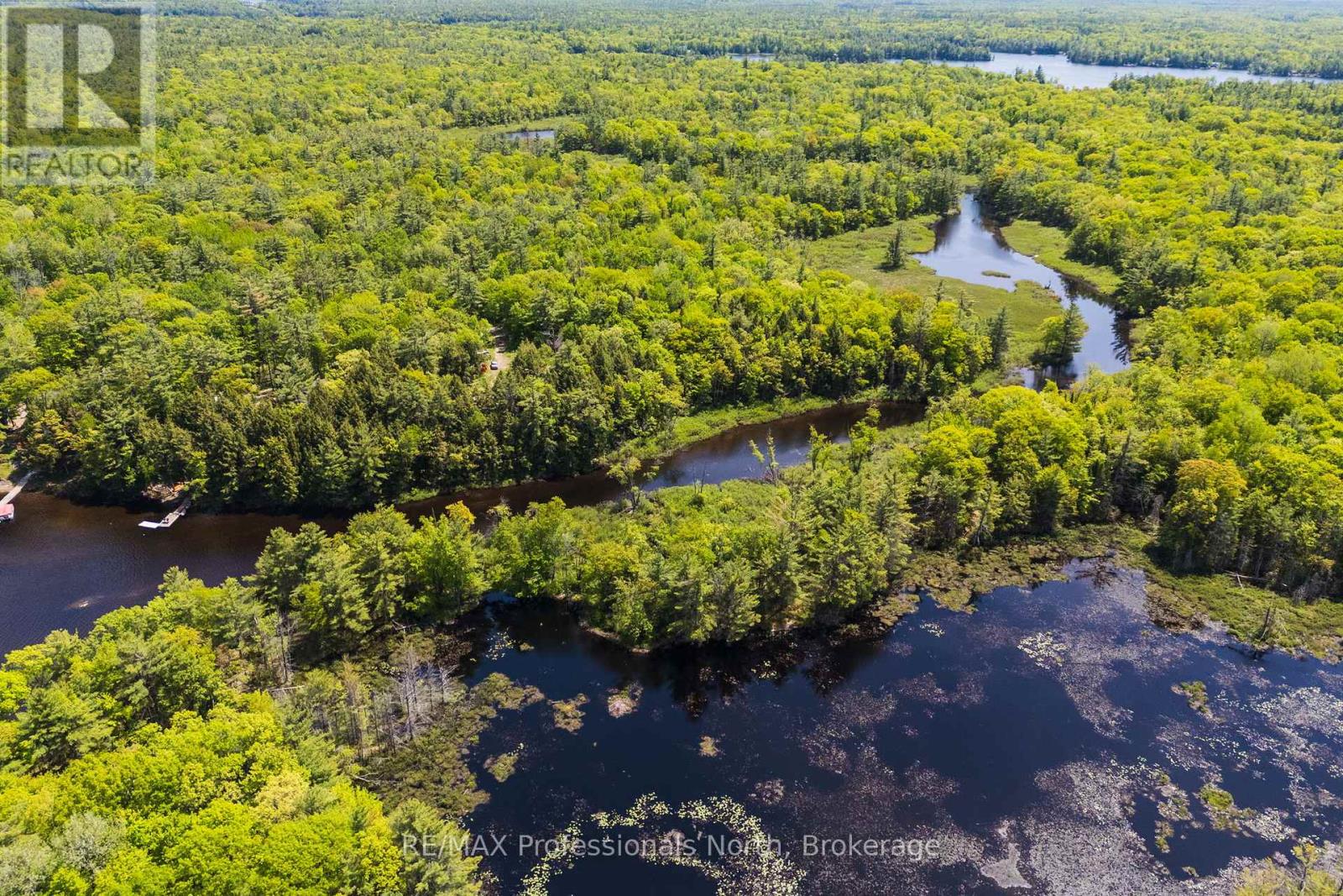 2 - 1204 South Morrison Lake Road, Gravenhurst, Ontario P0E 1G0 - Photo 4 - X13290732