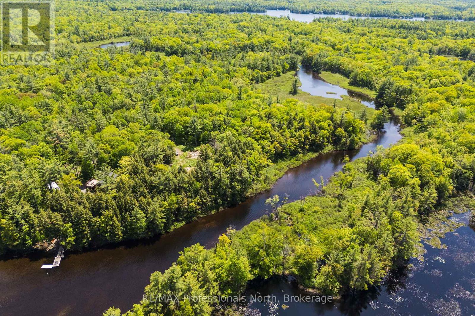 2 - 1204 South Morrison Lake Road, Gravenhurst, Ontario P0E 1G0 - Photo 6 - X13290732
