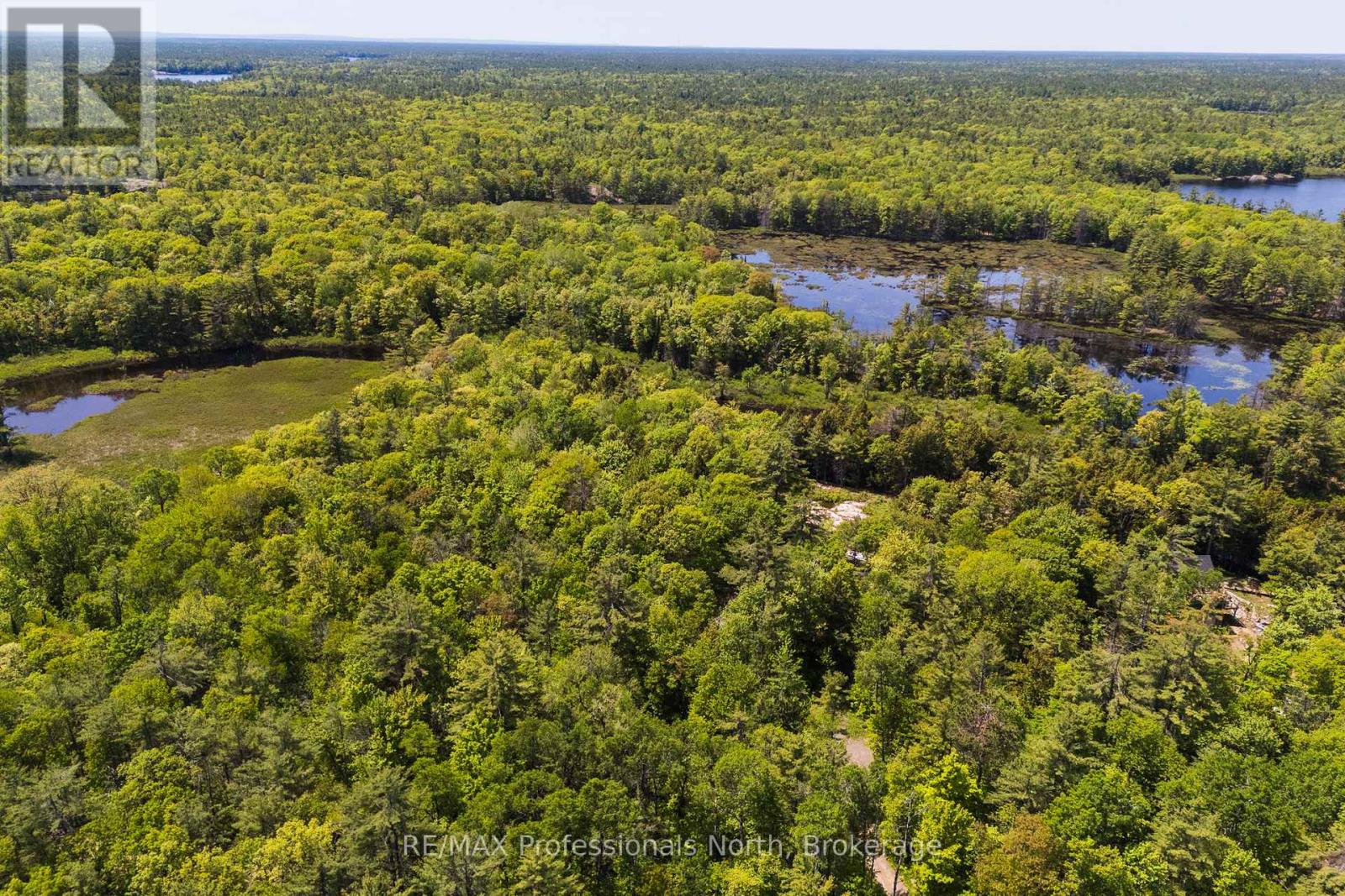 2 - 1204 South Morrison Lake Road, Gravenhurst, Ontario P0E 1G0 - Photo 7 - X13290732