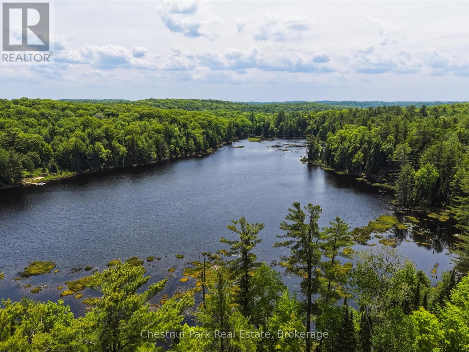 1045 North Pine Drive, Lake Of Bays, Ontario P0B 1A0 - Photo 10 - X13411428
