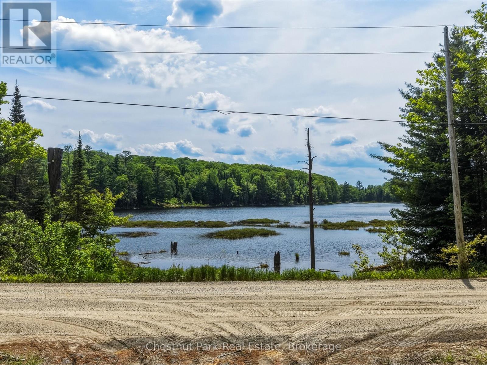 1045 North Pine Drive, Lake Of Bays, Ontario P0B 1A0 - Photo 11 - X13411428