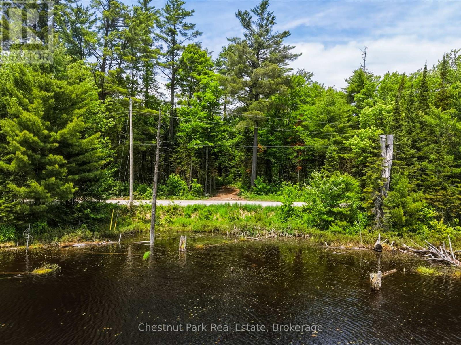 1045 North Pine Drive, Lake Of Bays, Ontario P0B 1A0 - Photo 12 - X13411428