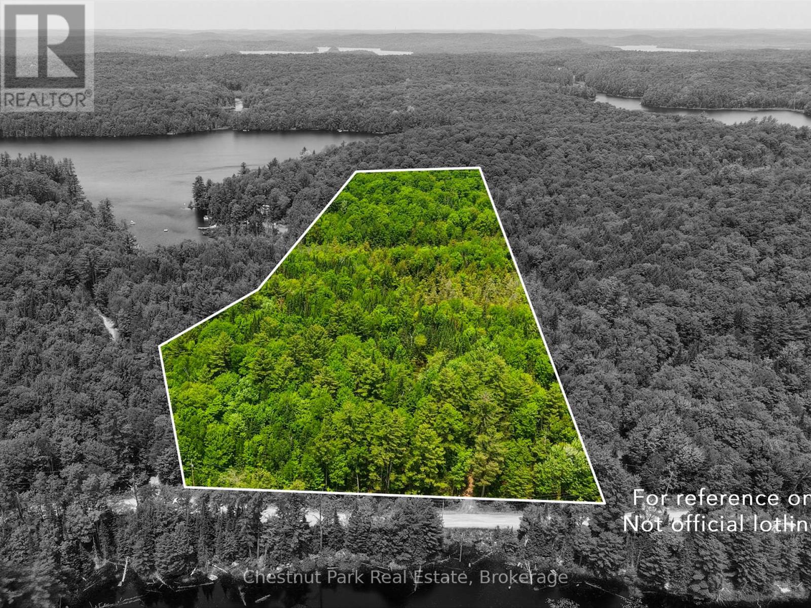 1045 North Pine Drive, Lake Of Bays, Ontario P0B 1A0 - Photo 3 - X13411428