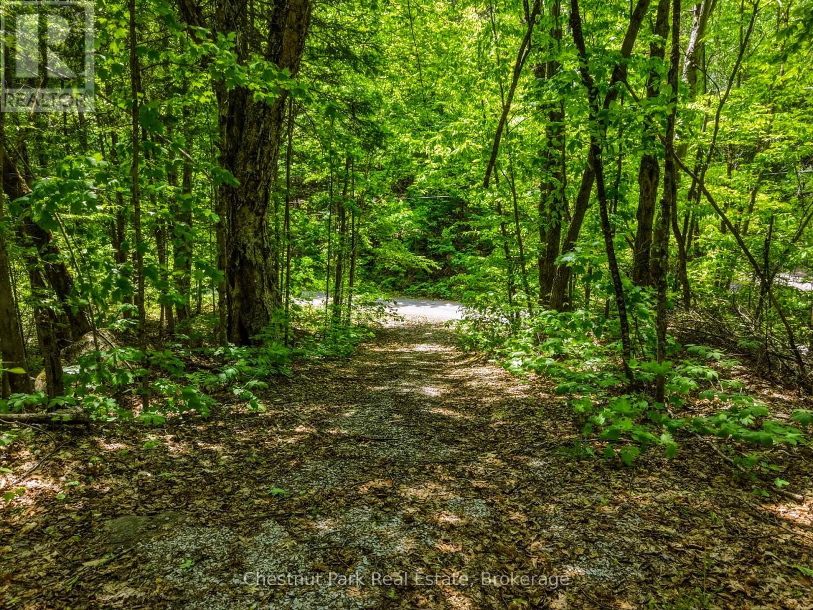 1045 North Pine Drive, Lake Of Bays, Ontario P0B 1A0 - Photo 4 - X13411428