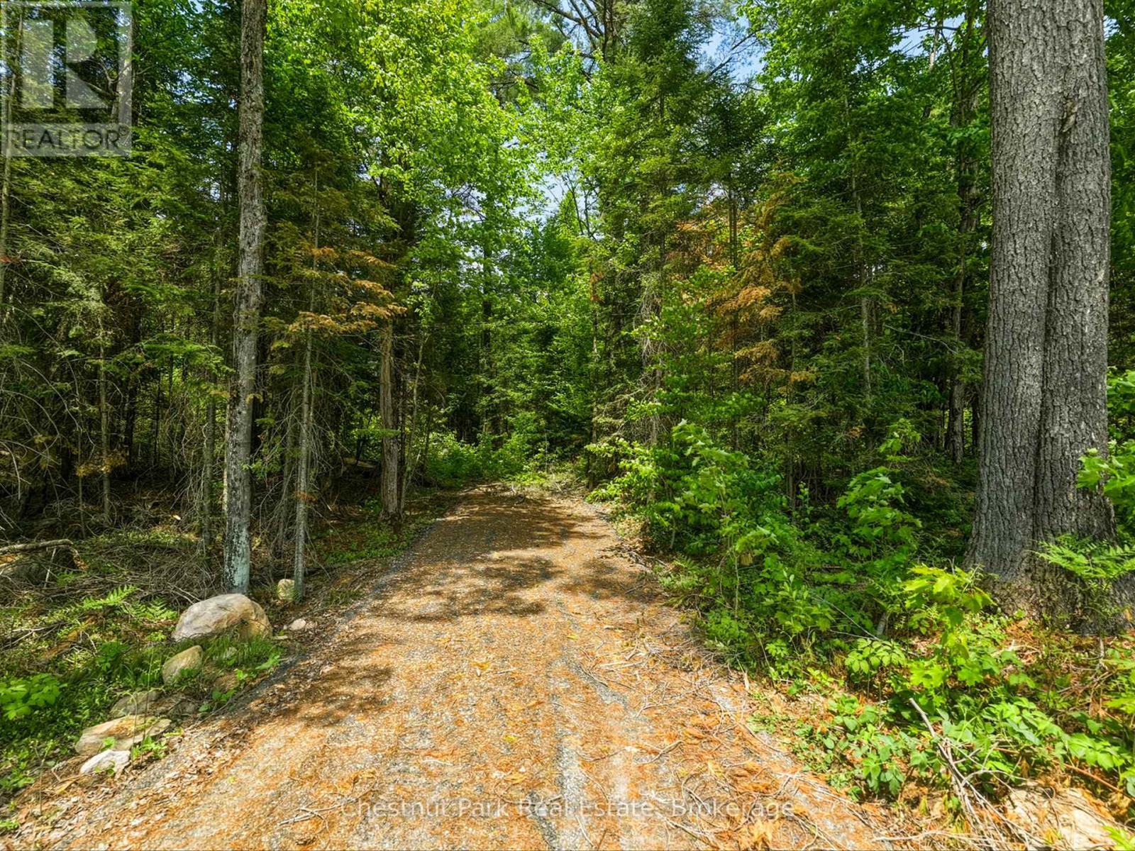 1045 North Pine Drive, Lake Of Bays, Ontario P0B 1A0 - Photo 5 - X13411428