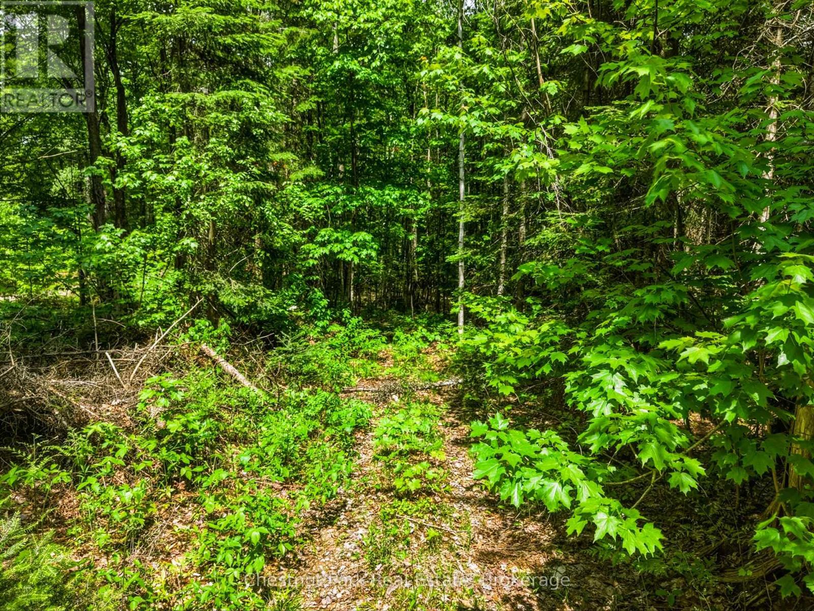 1045 North Pine Drive, Lake Of Bays, Ontario P0B 1A0 - Photo 6 - X13411428
