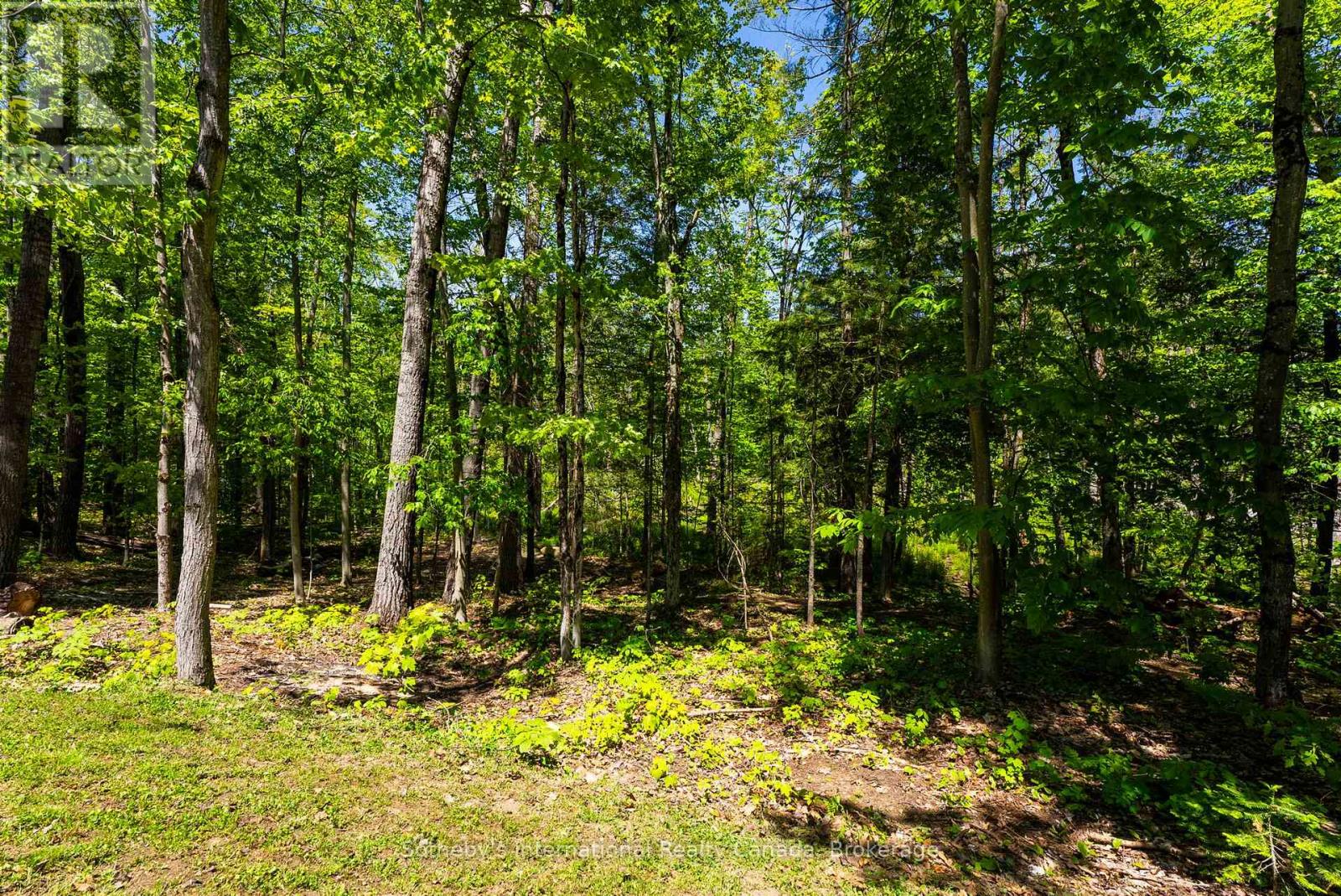 2074 Muskoka 169 Road, Gravenhurst, Ontario P1P 1R1 - Photo 37 - X13411476