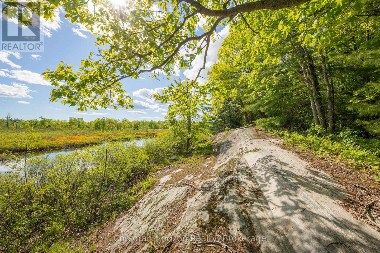 1020 Ridge Road, Muskoka Lakes, Ontario P0C 1M0 - Photo 10 - X13411528