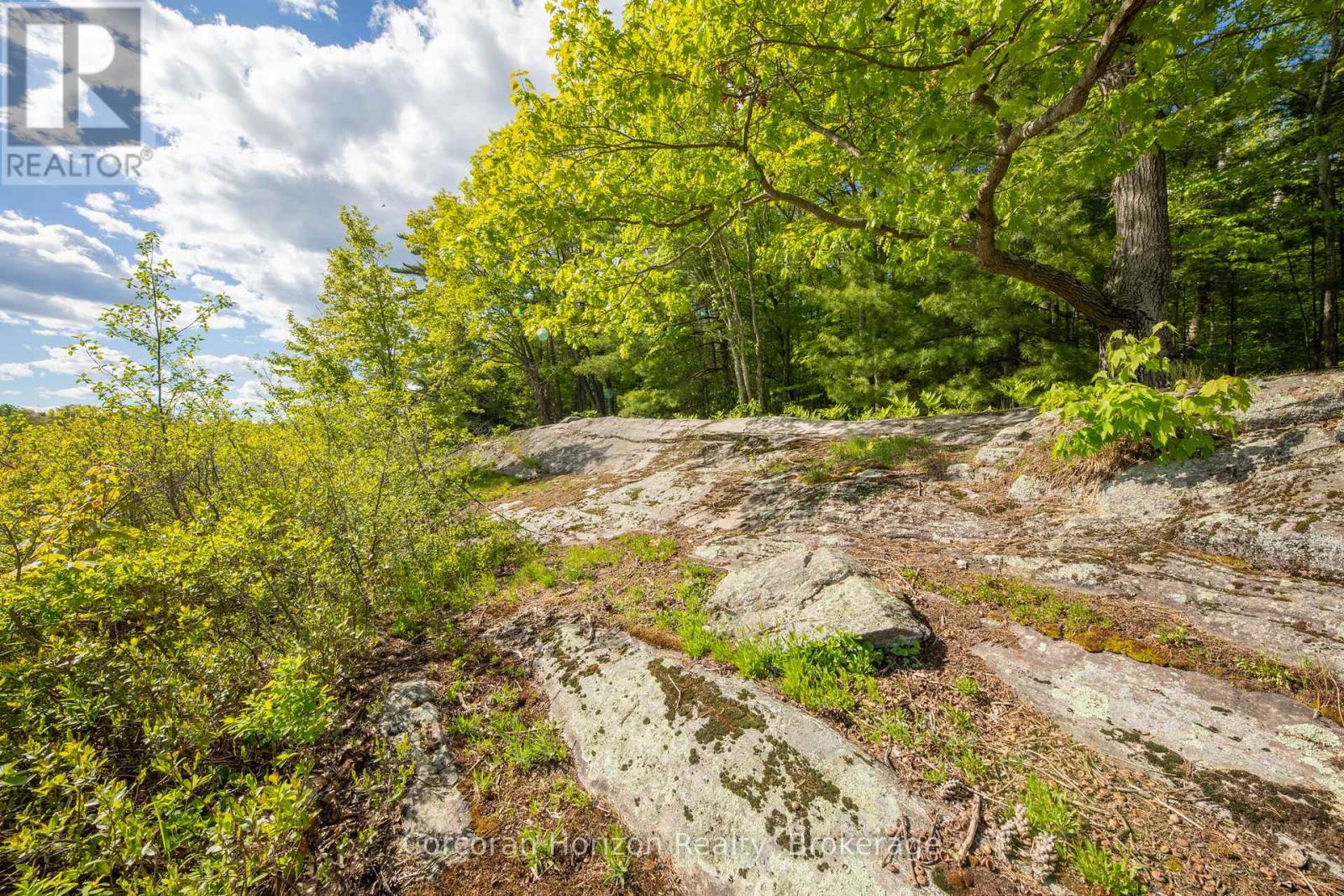 1020 Ridge Road, Muskoka Lakes, Ontario P0C 1M0 - Photo 11 - X13411528
