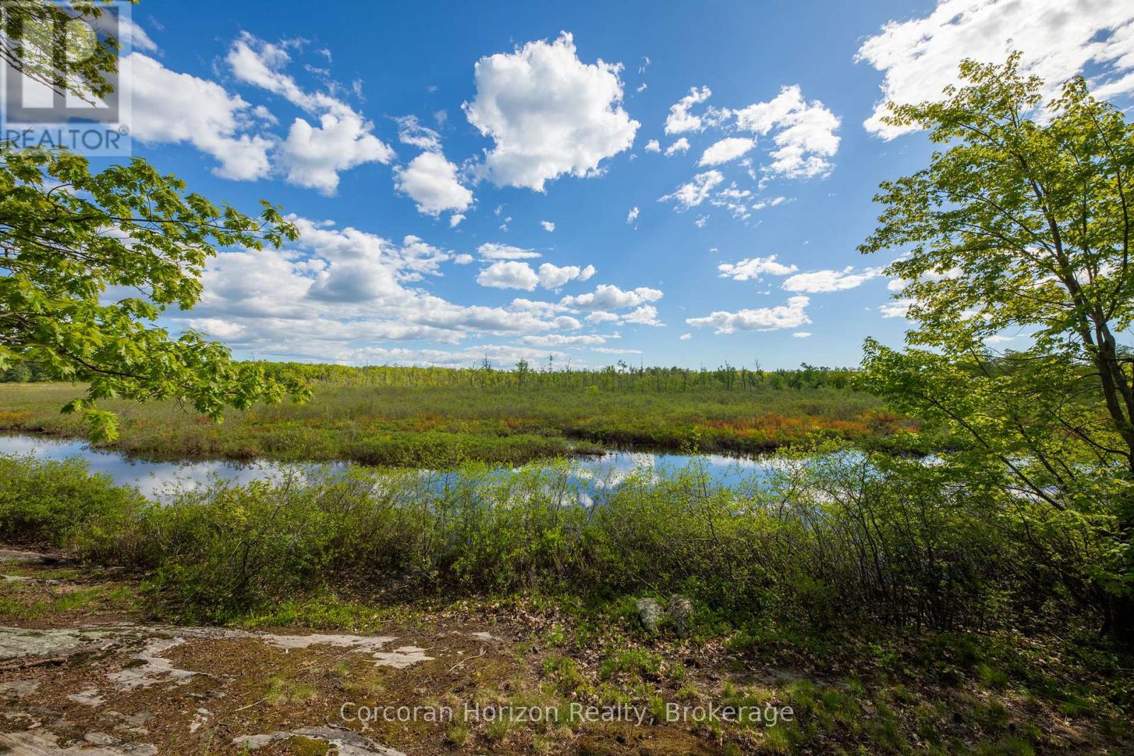 1020 Ridge Road, Muskoka Lakes, Ontario P0C 1M0 - Photo 12 - X13411528