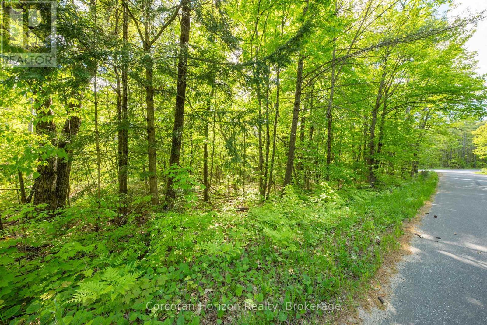 1020 Ridge Road, Muskoka Lakes, Ontario P0C 1M0 - Photo 15 - X13411528