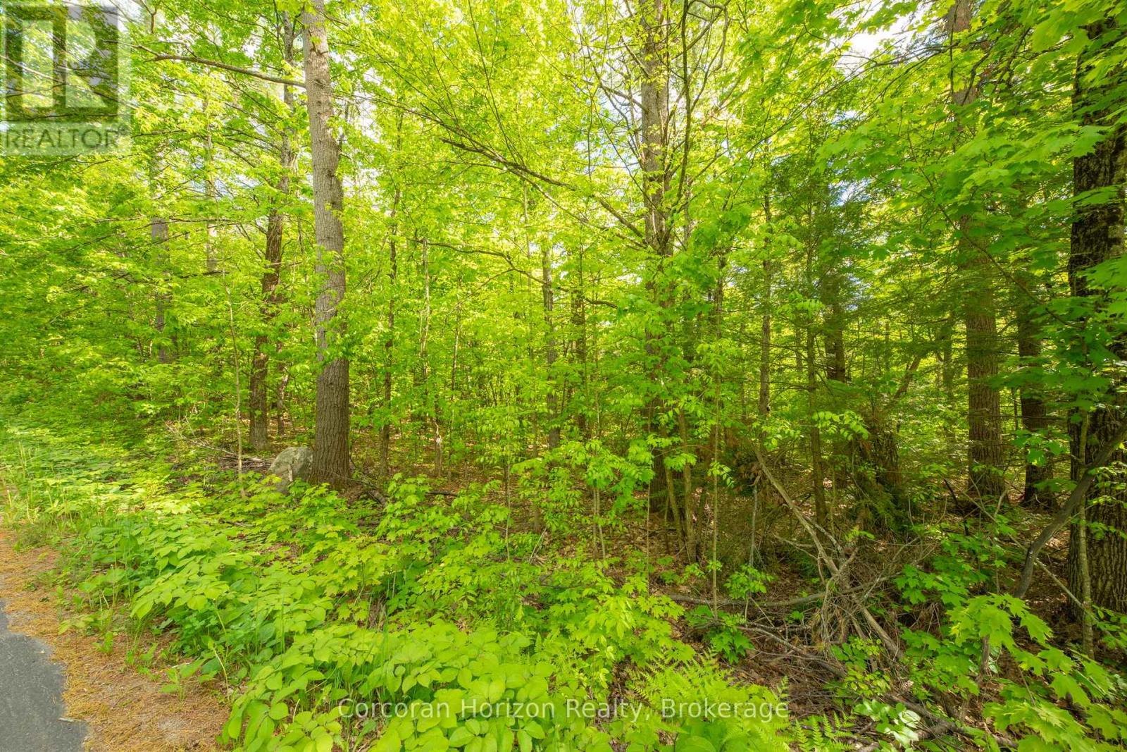 1020 Ridge Road, Muskoka Lakes, Ontario P0C 1M0 - Photo 16 - X13411528