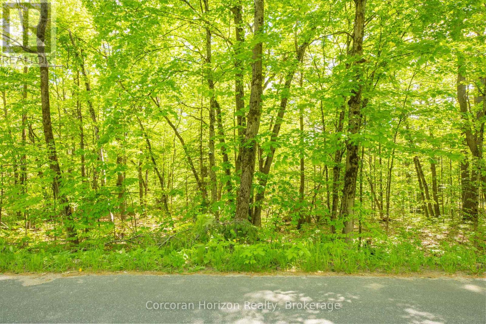 1020 Ridge Road, Muskoka Lakes, Ontario P0C 1M0 - Photo 17 - X13411528