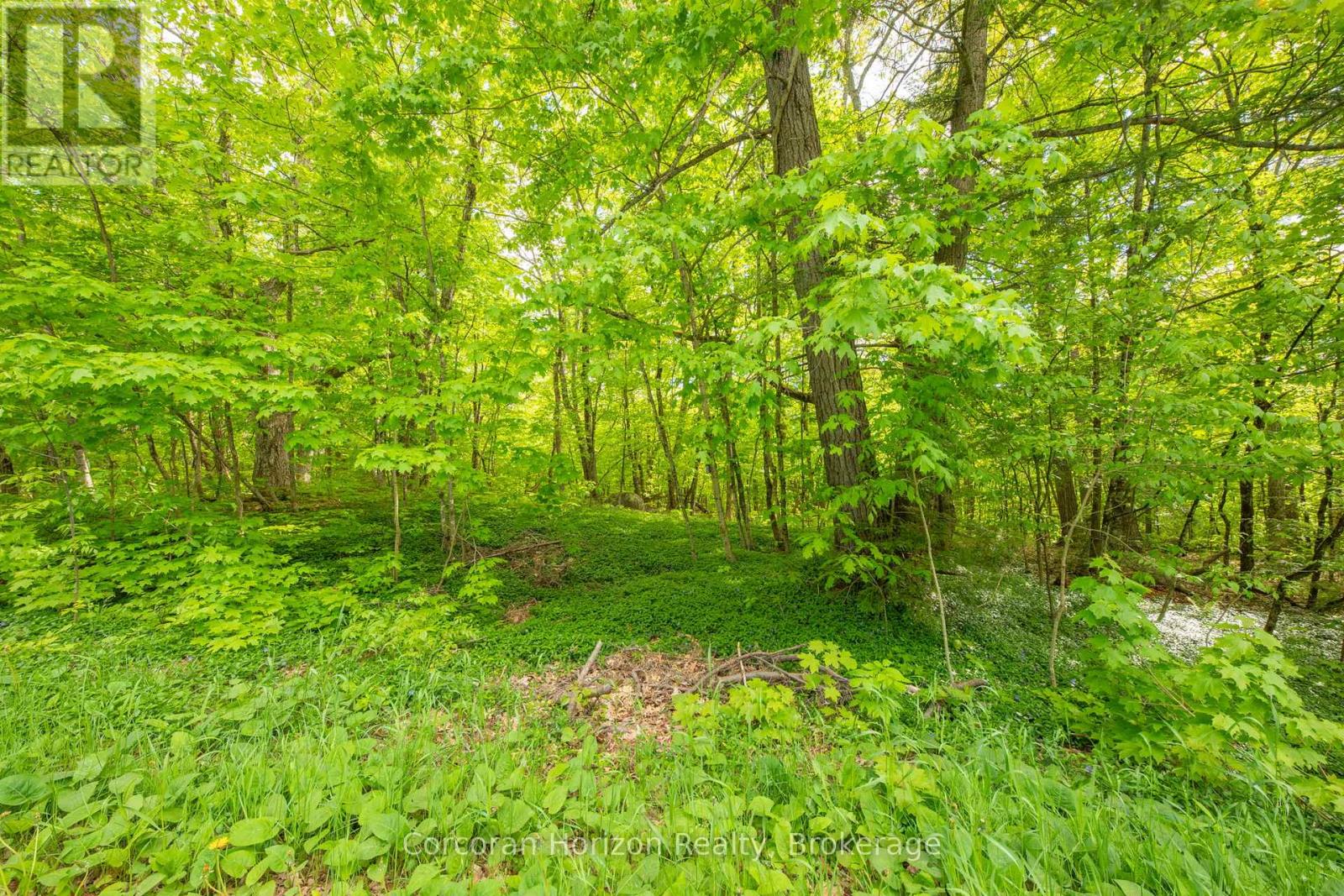 1020 Ridge Road, Muskoka Lakes, Ontario P0C 1M0 - Photo 18 - X13411528