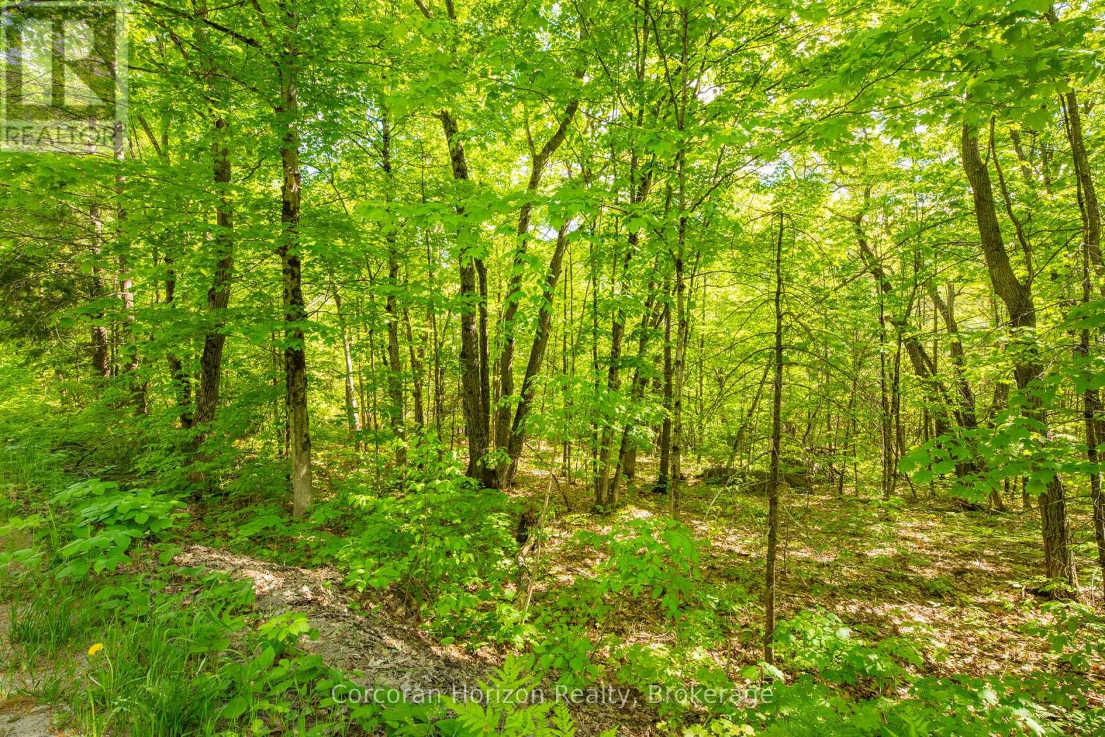 1020 Ridge Road, Muskoka Lakes, Ontario P0C 1M0 - Photo 23 - X13411528