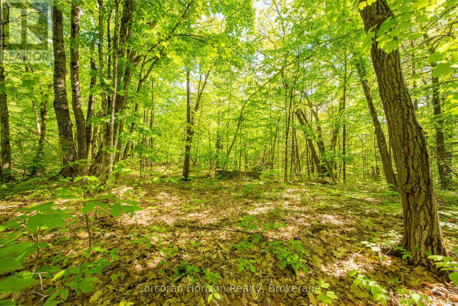 1020 Ridge Road, Muskoka Lakes, Ontario P0C 1M0 - Photo 24 - X13411528
