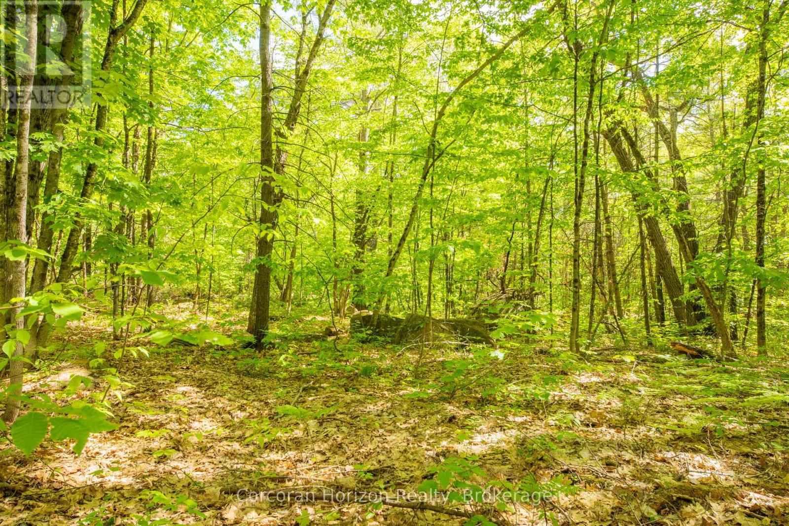 1020 Ridge Road, Muskoka Lakes, Ontario P0C 1M0 - Photo 25 - X13411528